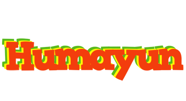 Humayun bbq logo