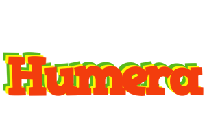 Humera bbq logo