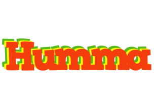 Humma bbq logo