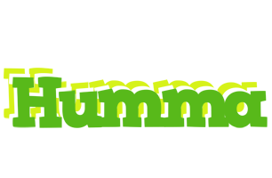 Humma picnic logo