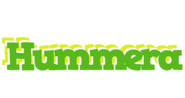 Hummera picnic logo