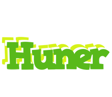 Huner picnic logo