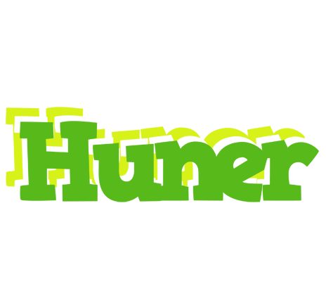 Huner picnic logo