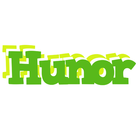 Hunor picnic logo