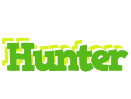 Hunter picnic logo