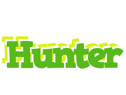Hunter picnic logo