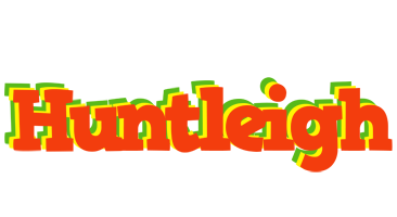 Huntleigh bbq logo