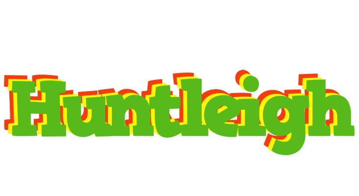 Huntleigh crocodile logo