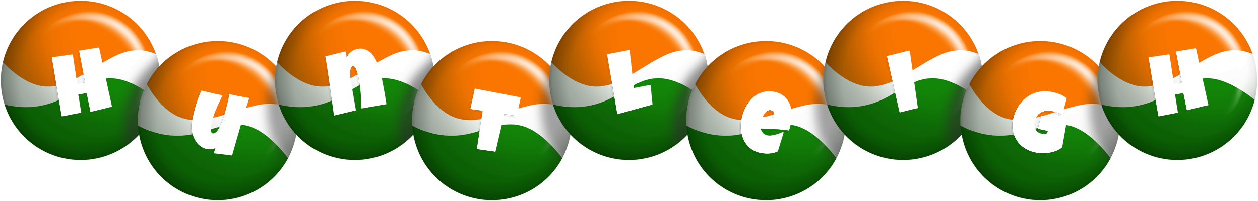 Huntleigh india logo