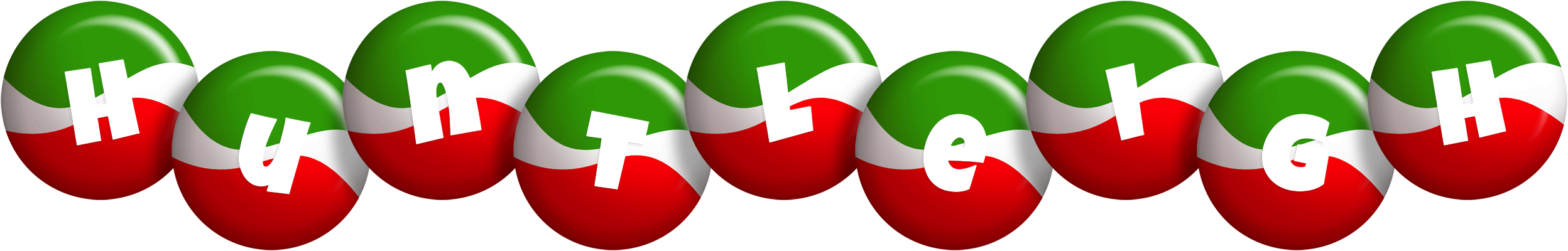 Huntleigh italy logo