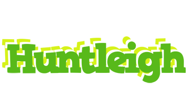 Huntleigh picnic logo