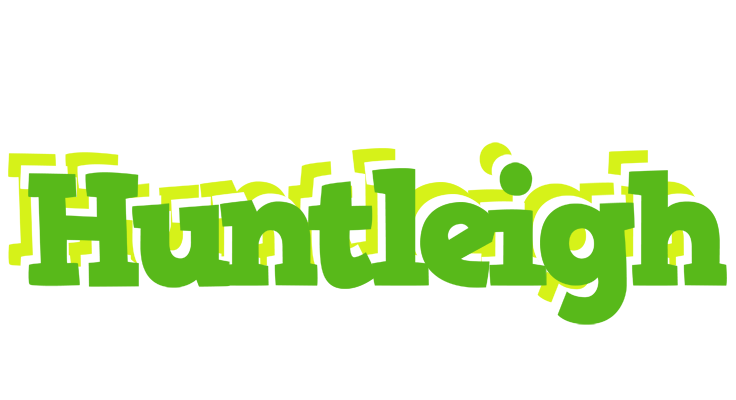 Huntleigh picnic logo