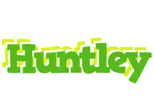 Huntley picnic logo