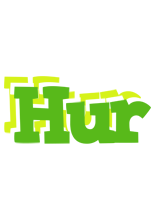 Hur picnic logo