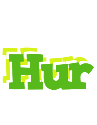 Hur picnic logo