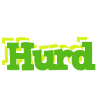 Hurd picnic logo