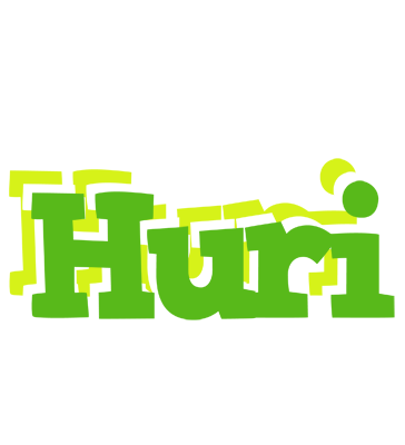 Huri picnic logo