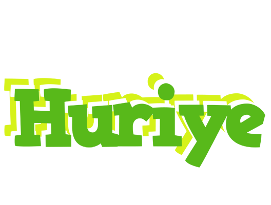 Huriye picnic logo