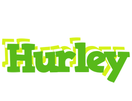 Hurley picnic logo