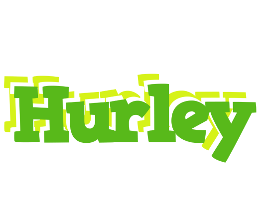 Hurley picnic logo
