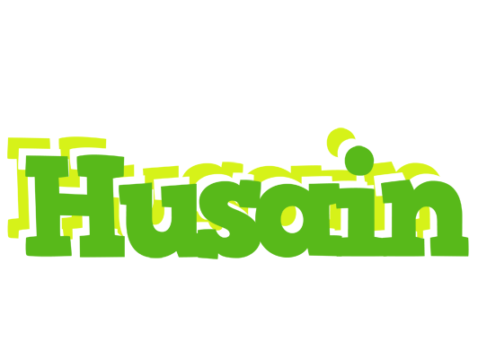 Husain picnic logo
