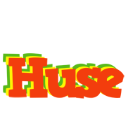 Huse bbq logo