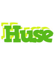 Huse picnic logo