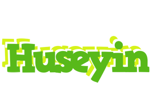 Huseyin picnic logo