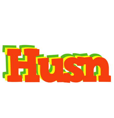 Husn bbq logo