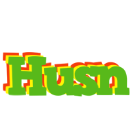 Husn crocodile logo