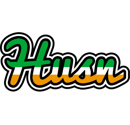 Husn ireland logo