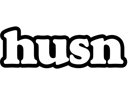 Husn panda logo