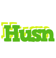 Husn picnic logo