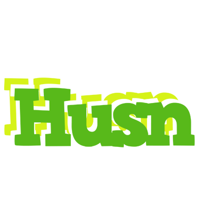 Husn picnic logo
