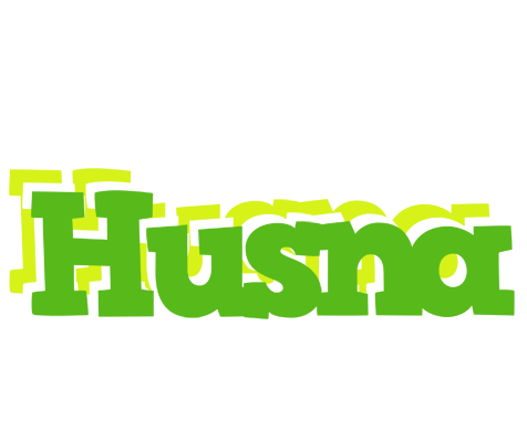 Husna picnic logo