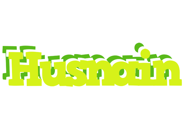 Husnain citrus logo