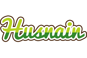 Husnain golfing logo