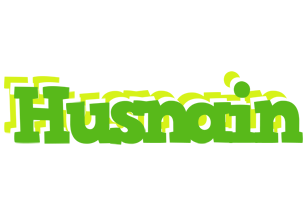 Husnain picnic logo