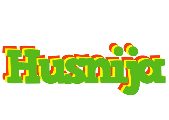 Husnija crocodile logo