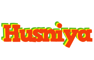 Husniya bbq logo