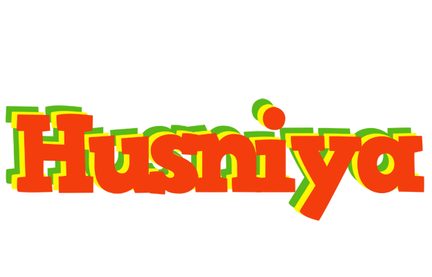 Husniya bbq logo