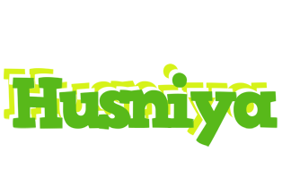 Husniya picnic logo