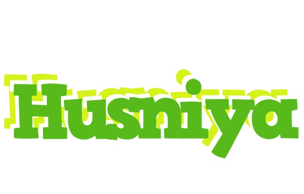 Husniya picnic logo