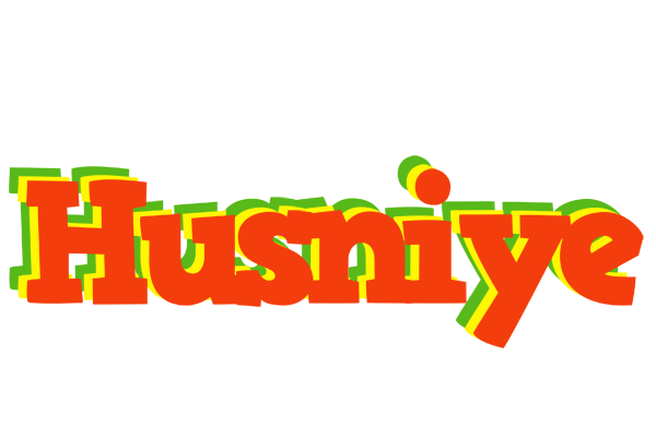 Husniye bbq logo