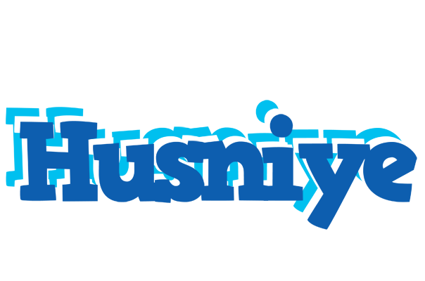 Husniye business logo