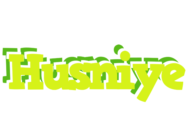 Husniye citrus logo
