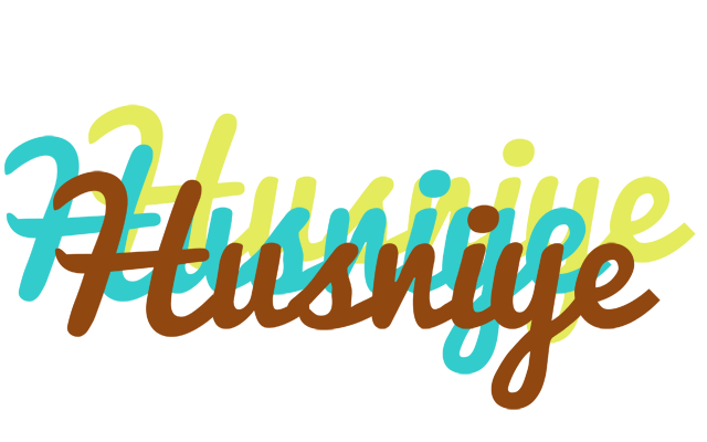 Husniye cupcake logo