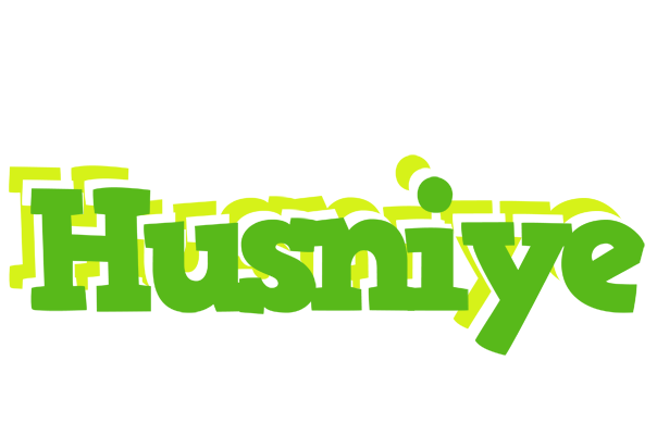 Husniye picnic logo
