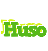 Huso picnic logo