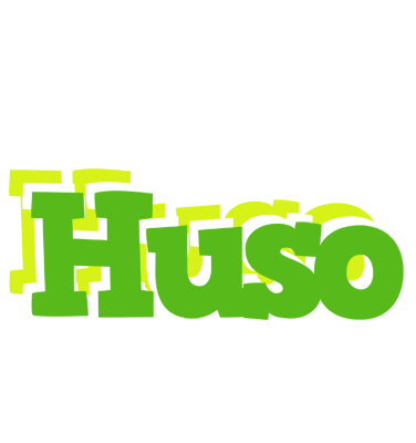 Huso picnic logo